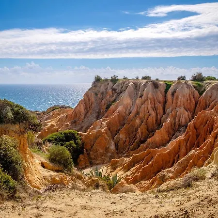 Welcoming In 80 M² With Shared Pool