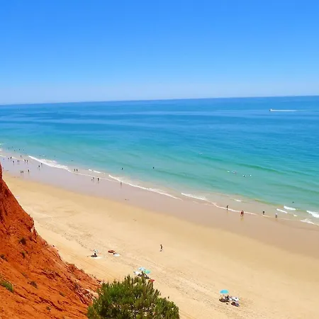 Appartement Welcoming In 80 M² With Shared Pool *