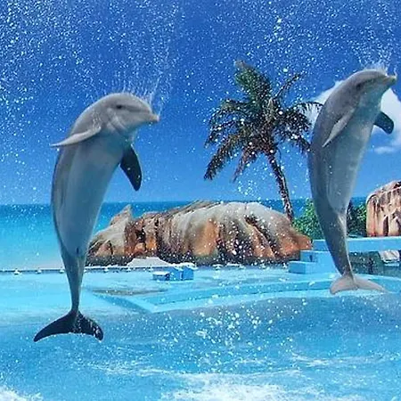 Apartament Welcoming In 80 M² With Shared Pool