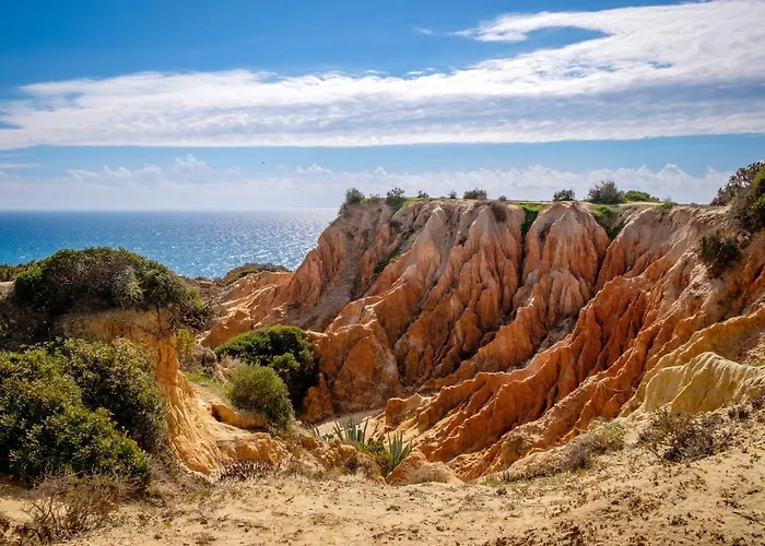 Welcoming In 80 M² With Shared Pool