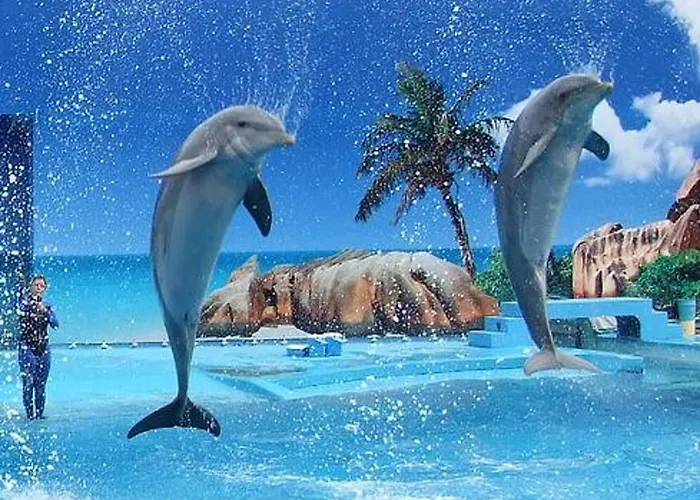 Lägenhet Welcoming In 80 M² With Shared Pool