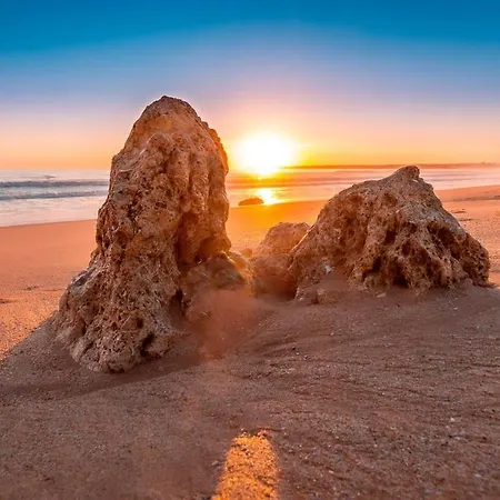 Seaside Oasis: 2-bedroom With Pool And Wi-fi Apartment